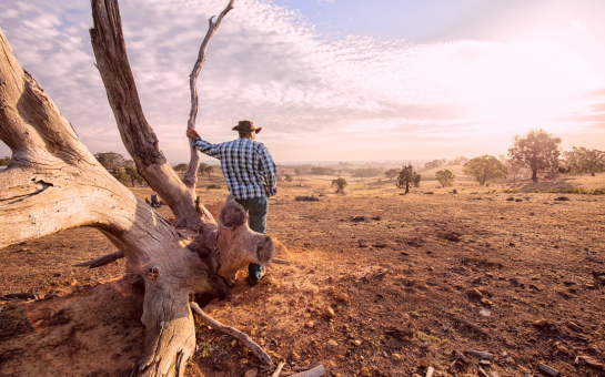 Building Aboriginal and Torres Strait Island Cultural Understanding